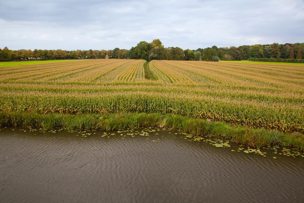 Het Wapen Van Harmelen Quarto foto